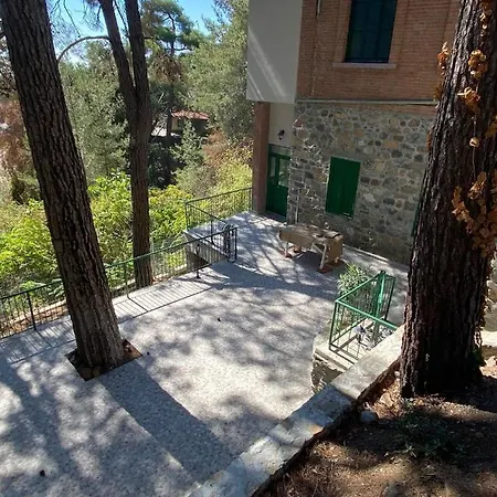 Theplatres.nest Platres