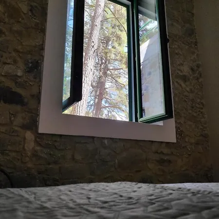 Theplatres.nest