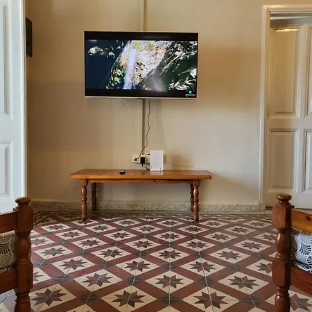 Theplatres.nest פלטרס