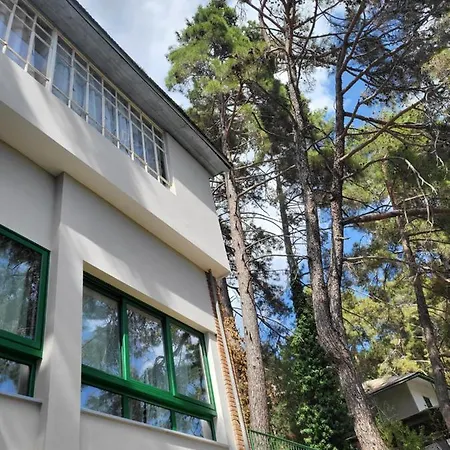 Theplatres.nest パノ・プラトレス