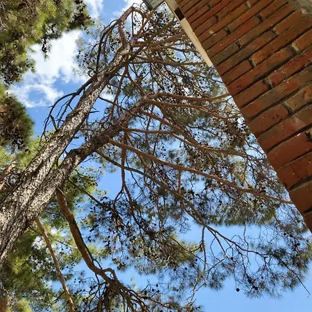 בית נופש Theplatres.nest *