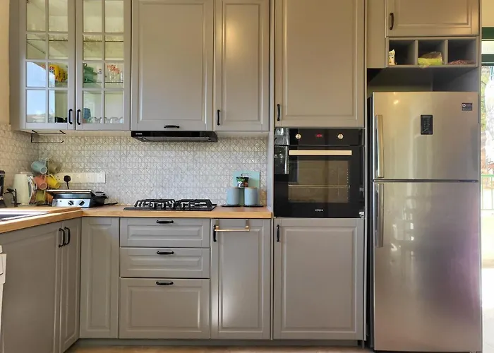 Theplatres.nest Tatil Evi *