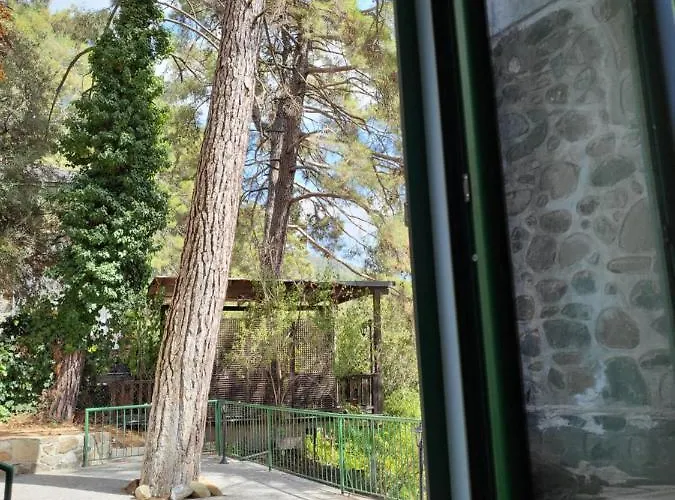 Theplatres.nest * Platres