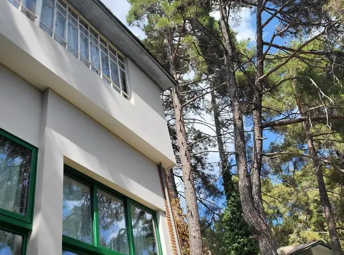 Theplatres.nest Platres