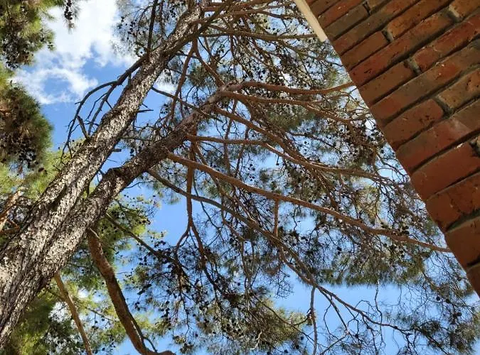 Tatil Evi Theplatres.nest *